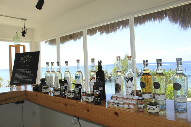 3-Hour Small-Group Mezcal and Tequila Tasting activity from Cozumel - The tasting itself: learning to taste, then learning to enjoy