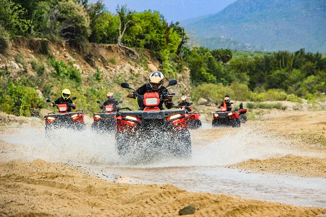4x4 ATV Adventure with Tequila Tasting and Mexican Buffet Lunch - Key Points That Matter Before You Go