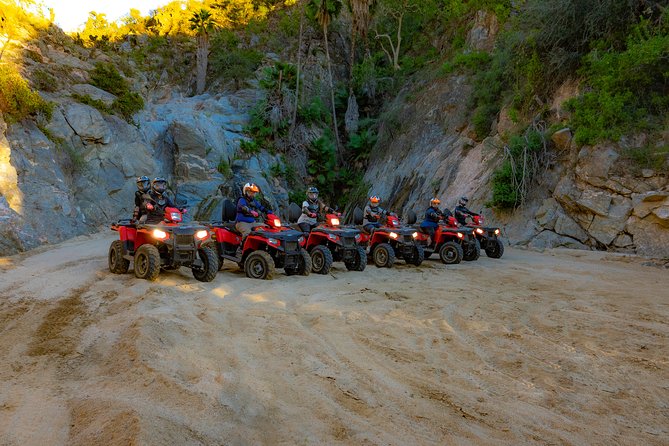 4x4 ATV Adventure with Tequila Tasting and Mexican Buffet Lunch - Getting There on the Pacific Coast: Pickup Timing and Winter Whale Odds