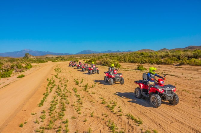 4x4 ATV Adventure with Tequila Tasting and Mexican Buffet Lunch - The ATV Desert Ride: Cactus Arroyos, Shallow Canyons, and Big Cabo Views