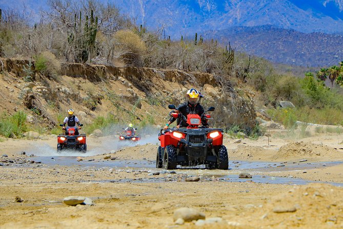 4x4 ATV Adventure with Tequila Tasting and Mexican Buffet Lunch - Lunch at the Ocean-Front Table: Unlimited Buffet That Actually Feels Like Mexico