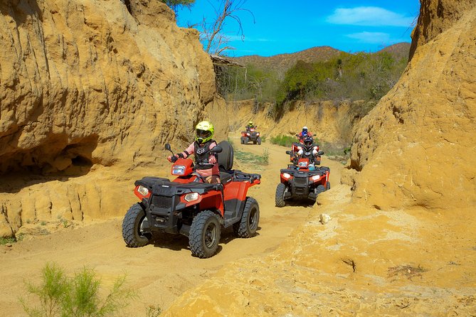4x4 ATV Adventure with Tequila Tasting and Mexican Buffet Lunch - Tequila and Mezcal Tasting: Fun Sampling, Not a Long Lecture