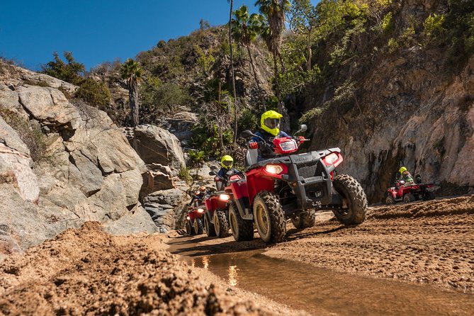 4x4 ATV Adventure with Tequila Tasting and Mexican Buffet Lunch - The Ecological Farm Stop: A Quick Culture Bonus