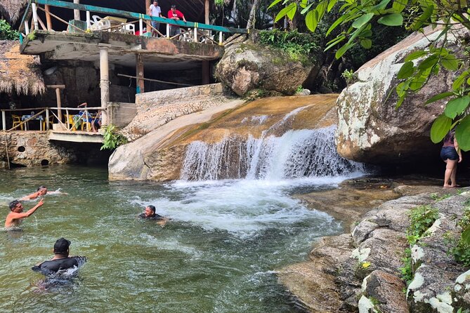 All Vallarta and tequila factory and waterfall - Key Points Before You Go