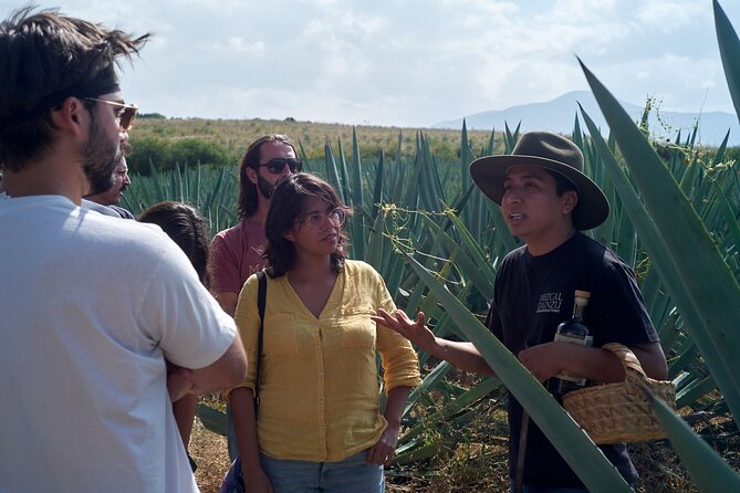 Artisanal Mezcal Culture Tour for Tasting and History - Key Highlights You’ll Care About