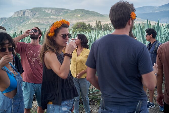 Artisanal Mezcal Culture Tour for Tasting and History - Oaxaca to Santiago Matatlán: The Day Trip That Actually Makes Sense