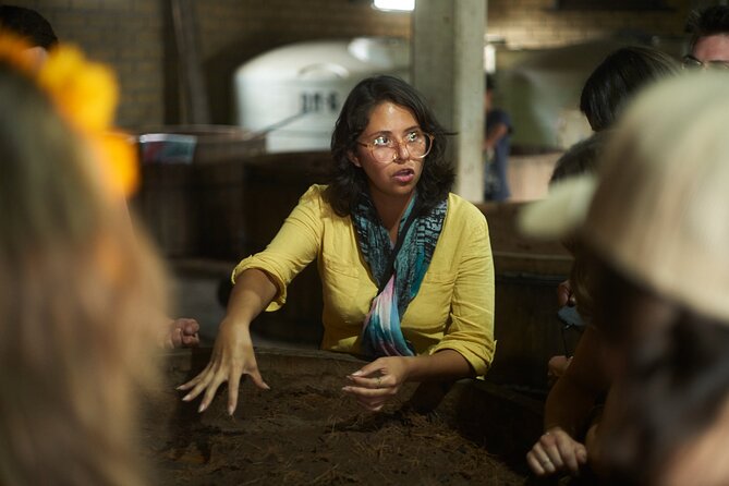 Artisanal Mezcal Culture Tour for Tasting and History - Practical Tips Before You Go