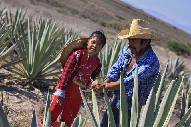 Artisanal Mezcal distillery in an authentic Zapotec village - The take-home bottle: why it’s more than a souvenir