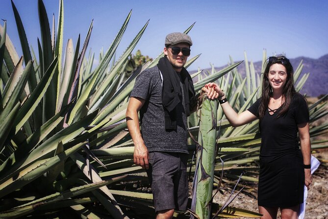 Artisanal Mezcal distillery in an authentic Zapotec village - Artisanal mezcaleria tour: seeing the craft process up close