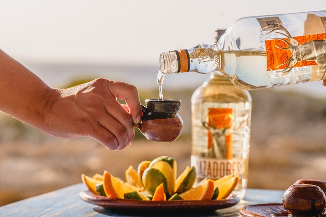 ATV Tour, Camel Ride, Tequila Tasting and Mexican Buffet Lunch - Key highlights you will feel fast
