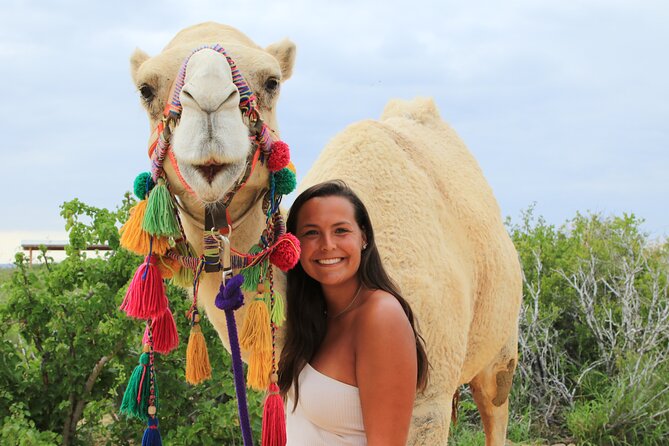 ATV Tour, Camel Ride, Tequila Tasting and Mexican Buffet Lunch - The core idea: one 5-hour day, lots of variety