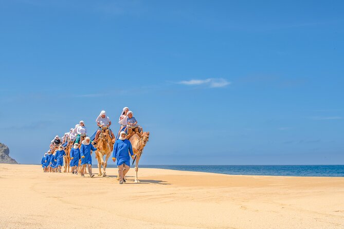 ATV Tour, Camel Ride, Tequila Tasting and Mexican Buffet Lunch - Tequila tasting happens oceanfront: what’s included and what to expect