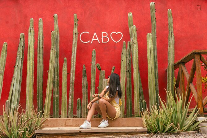 ATV Tour, Camel Ride, Tequila Tasting and Mexican Buffet Lunch - The price reality check: base tour price plus check-in fees and photos