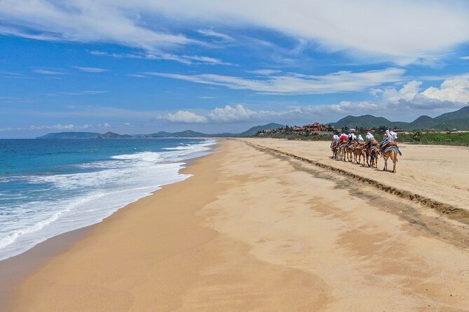 ATV Tour, Camel Ride, Tequila Tasting and Mexican Buffet Lunch - Pickup, timing, and what to do with your day