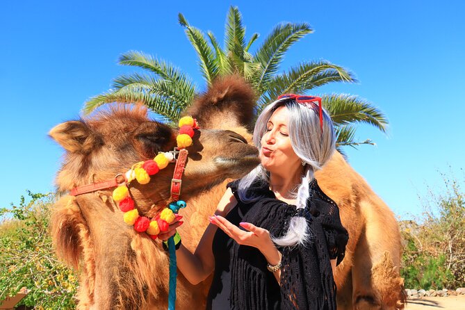 ATV Tour, Camel Ride, Tequila Tasting and Mexican Buffet Lunch - Safety and who should skip this one