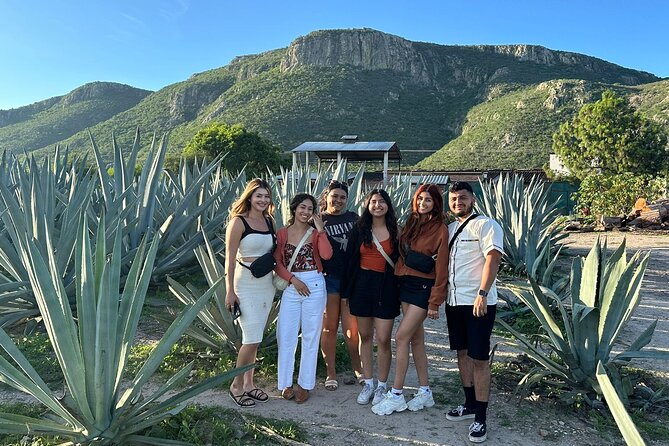 Boil Water,Tube Tree,Mitla,Mezcal and Teotitlan Valley - Mitla Archaeological Zone: Zapotec devotion to the dead
