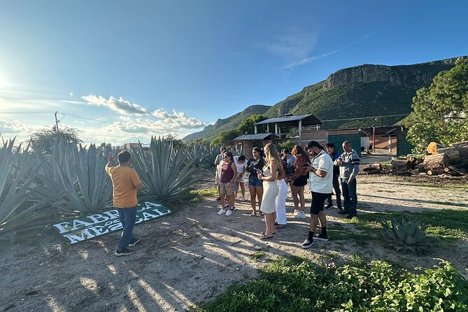 Boil Water,Tube Tree,Mitla,Mezcal and Teotitlan Valley - Mezcal at Fabrica De Mezcal Un Dia A La Vez: agave to tastings without extra cost