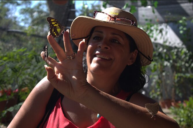 Butterflies, City tour, tequila, and beach (kids free) - Key Things I’d Plan For