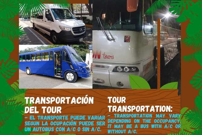 Butterflies, City tour, tequila, and beach (kids free) - Malecon Boardwalk City Tour: Seawall Views, No Fuss