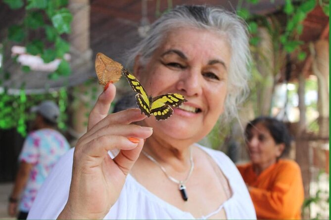 Butterflies, City tour, tequila, and beach (kids free) - Price and Value: What $23.84 Really Buys You