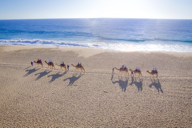 Cabo Beach Camel Ride, Mexican Buffet and Tequila Tasting - Key highlights I’d circle on your Cabo plan