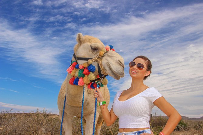 Cabo Beach Camel Ride, Mexican Buffet and Tequila Tasting - Hotel Pickup, Pacific Roads, and Why Timing Matters