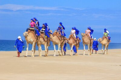 Cabo Beach Camel Ride, Mexican Buffet and Tequila Tasting - The Beach Camel Ride (20 to 25 Minutes) and the Safety Rules