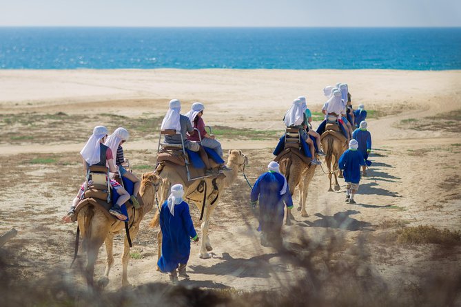 Cabo Beach Camel Ride, Mexican Buffet and Tequila Tasting - Winter Whale Chance and the Off-Road Feel