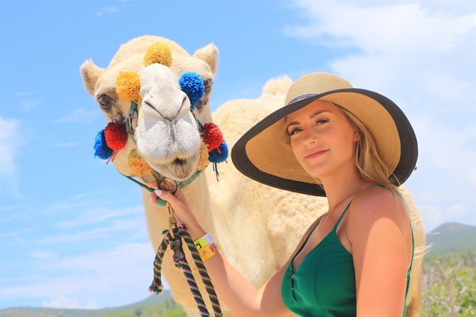 Cabo Beach Camel Ride, Mexican Buffet and Tequila Tasting - Group Size, Guides, and Why Staff Matters Here