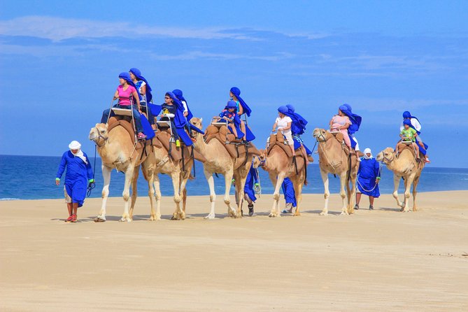 Cabo Beach Camel Ride, Mexican Buffet and Tequila Tasting - The Beach Camel Ride (20 to 25 Minutes) and the Safety Rules