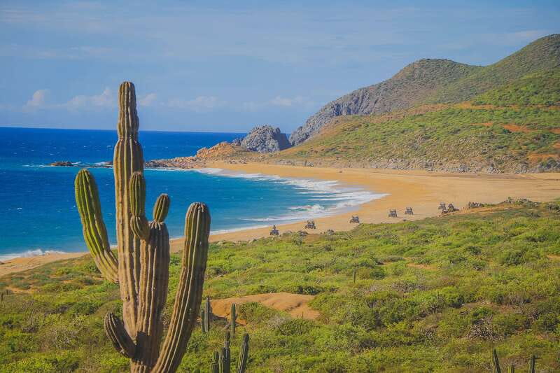 Cabo: Beach & Desert Single ATV Tour with Tequila Tasting - Key things to know before you go