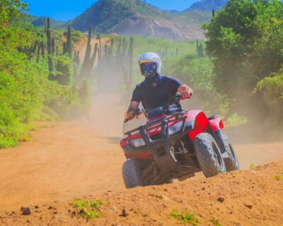 Cabo: Beach & Desert Single ATV Tour with Tequila Tasting - Safety briefing and ATV training: fast, real, and worth your attention