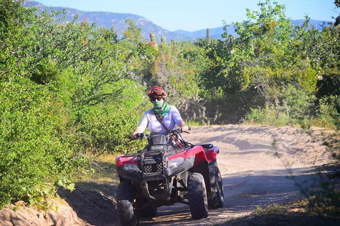 Cabo Candelaria Village Adventure + Tequila Tasting - Tequila Tasting: Confirm the Details, Then Enjoy the Part That’s Easy