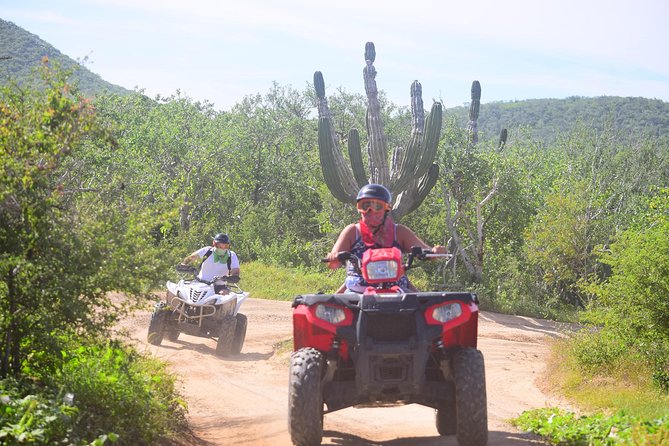Cabo Candelaria Village Adventure + Tequila Tasting - Who This Tour Fits Best in Cabo