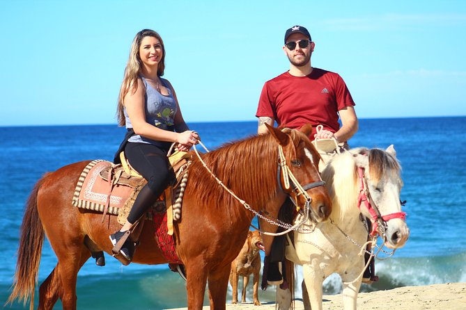 Cabo Desert Off-Road & Beach Horseback Combo and Tequila Tasting - Pickup, Check-In, and Timing: Why Your Day Might Run Longer Than 2 Hours