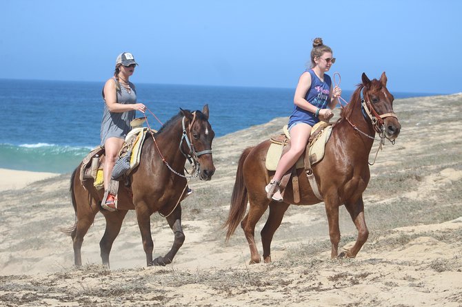 Cabo Desert Off-Road & Beach Horseback Combo and Tequila Tasting - Who This Cabo Tour Fits Best (and When to Skip It)