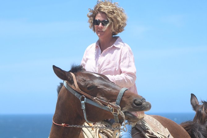 Cabo Desert Off-Road & Beach Horseback Combo and Tequila Tasting - Practical Tips to Keep Your Day Smooth (Without Overthinking It)