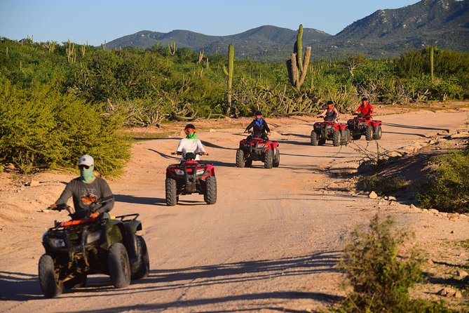 Cabo Migrino Beach and Desert ATV Tour plus Tequila Tasting - Price Reality Check: Is $75 Worth It After Fees