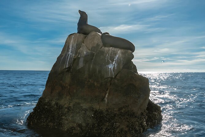 Cabo San Lucas Arch & City Tour: Glass-Bottom Boat & Tequila - Weather, Timing, and the 4-Hour Reality