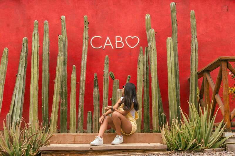 Cabo San Lucas: Camel Safari Tour with Lunch and Tequila - Key things to know before you go