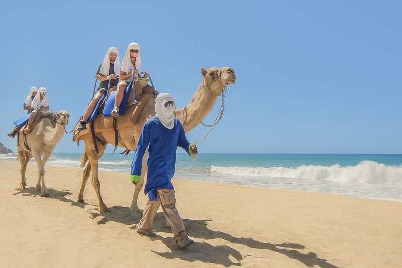 Cabo San Lucas: Camel Safari Tour with Lunch and Tequila - What This Cabo Camel Safari Really Feels Like