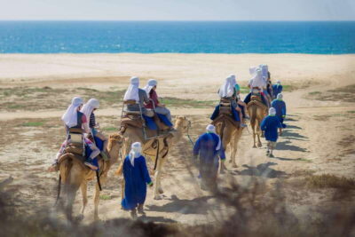 Cabo San Lucas: Camel Safari Tour with Lunch and Tequila - Getting to the Ranch: Pickup, Drive Time, and When to Arrive Ready