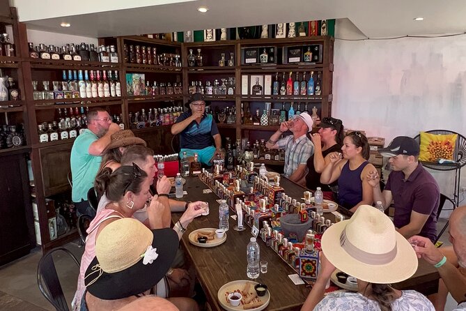 Cabo San Lucas Cocktails, Tequila and Tacos Walking Tour - Key highlights at a glance