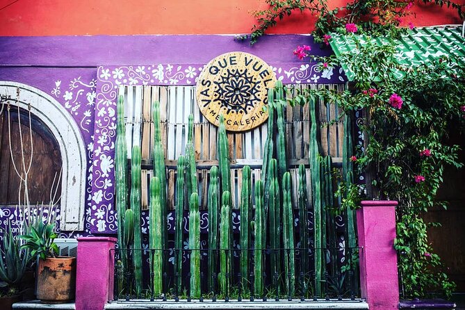 Cabo San Lucas Mezcal Tasting and Cocktail Class - Value for Money When Alcohol and Teaching Are Included