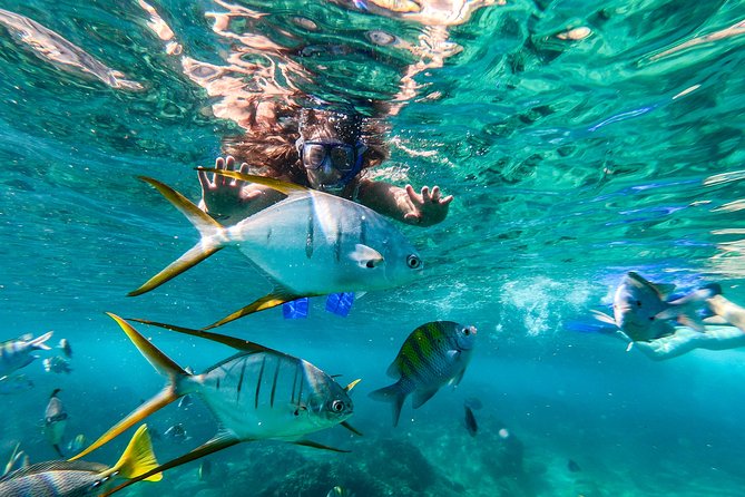 Cabo San Lucas Shopping, Tequila Tasting, and Snorkel Tour - Cabo San Lucas combo tour: how this day actually plays out