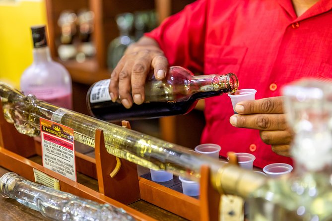 Cabo San Lucas Shopping, Tequila Tasting, and Snorkel Tour - Snorkeling reality check: gear included, conditions not guaranteed