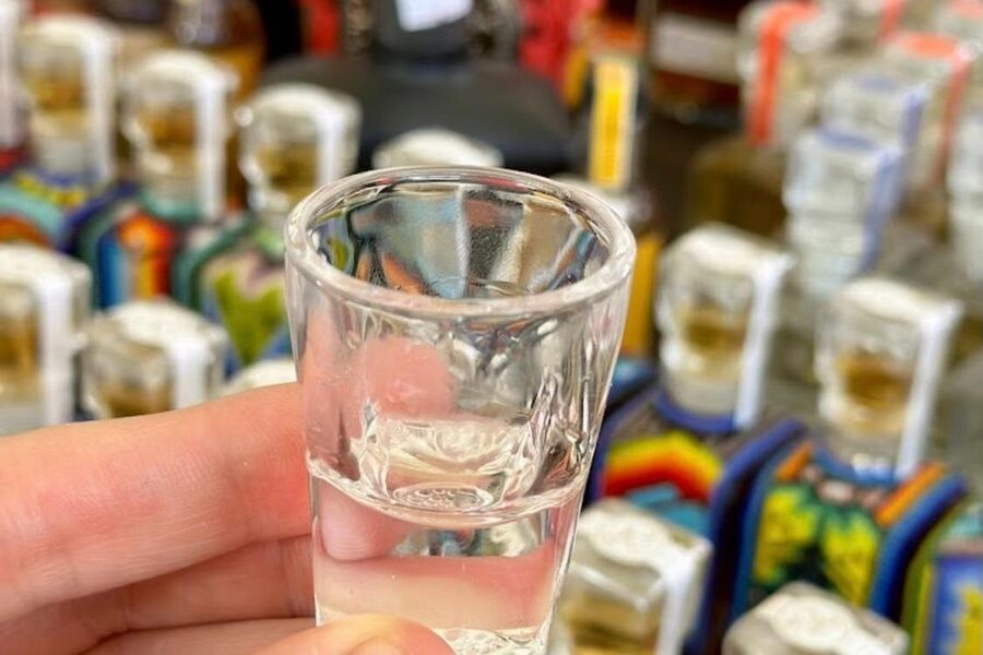 Cabo San Lucas Tequila Tasting and Mixology Class in Tasting Room - The guide experience: why small groups feel better