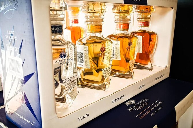 Cabo San Lucas Tequila Tasting Experience - Why Private Feels Better Than a Big Group Tequila Tour