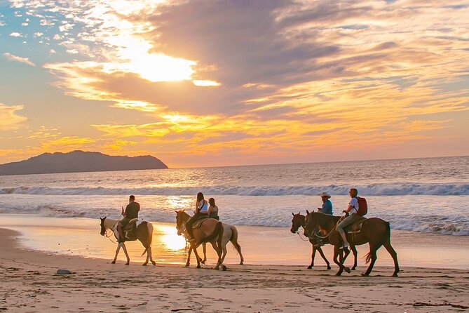 Cabo Shore Excursion: Beach Horseback Ride & Tequila Tasting - Why horse + beach at Playa Migrino is such a good Cabo mix