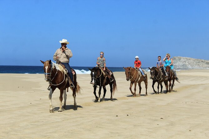 Cabo Shore Excursion: Beach Horseback Ride & Tequila Tasting - Horses and guides: where comfort and safety are handled well